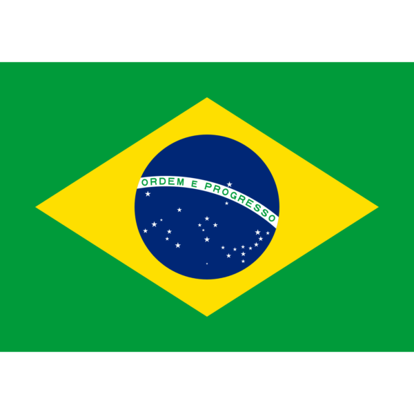 BUY BRAZIL FLAG IN WHOLESALE ONLINE
