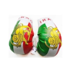 BUY IRAN LION MINI BOXING GLOVES IN WHOLESALE ONLINE!