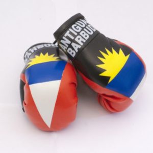 BUY ANTIGUA AND BARBUDA MINI BOXING GLOVES IN WHOLESALE ONLINE