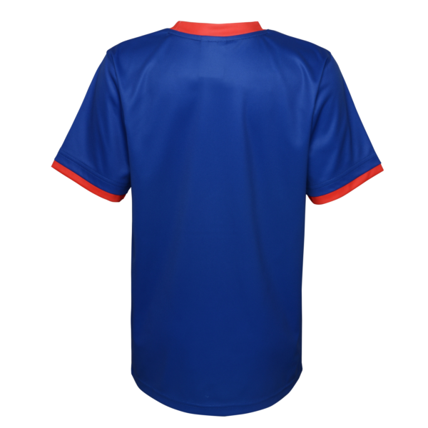BUY FRANCE WORLD CUP 2022 YOUTH JERSEY IN WHOLESALE ONLINE