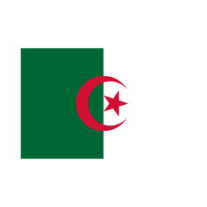 BUY ALGERIA FLAG IN WHOLESALE ONLINE