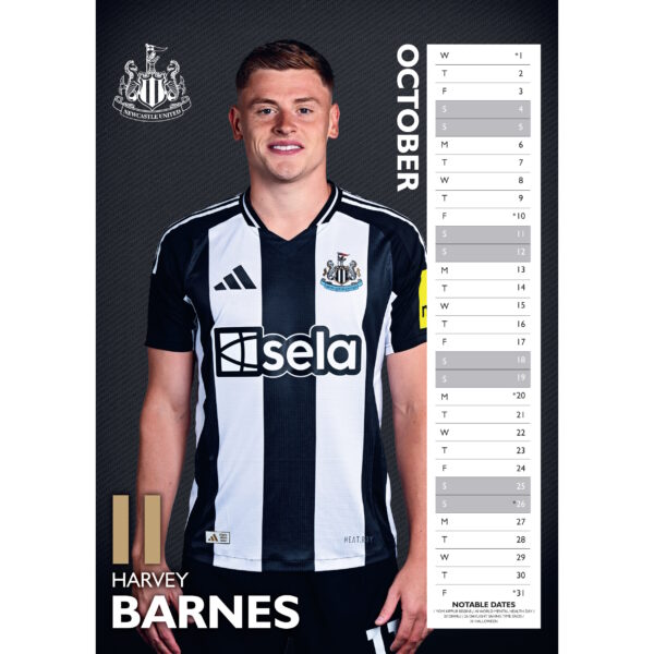 BUY NEWCASTLE UNITED 2025 CALENDAR IN WHOLESALE ONLINE