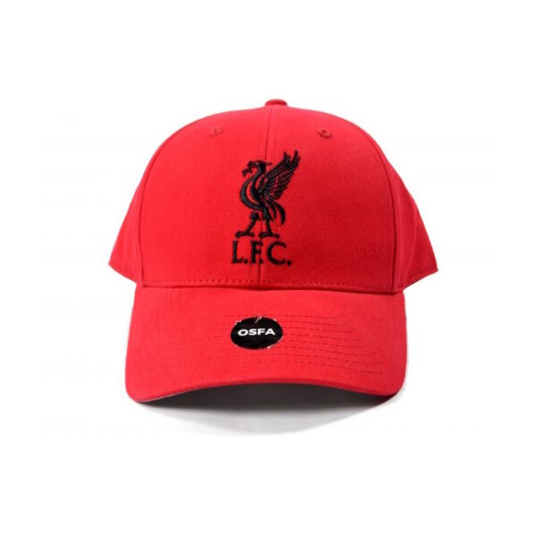 BUY LIVERPOOL RED LIVERBIRD HAT IN WHOLESALE ONLINE