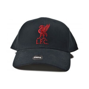 BUY LIVERPOOL NAVY LIVERBIRD HAT IN WHOLESALE ONLINE